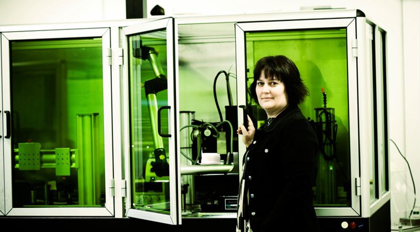 Direktør Anne-Lise Høg Lejre, Produktion